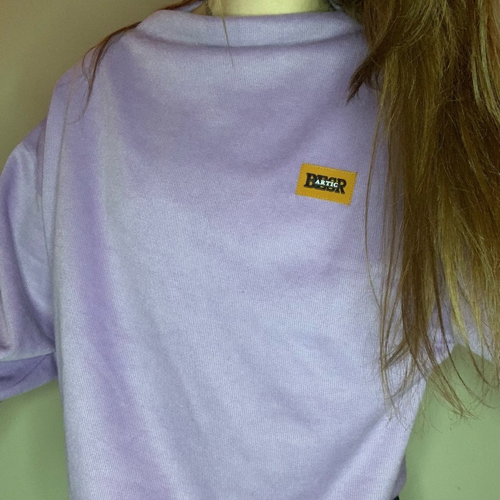 BESR ARTIC Sweater